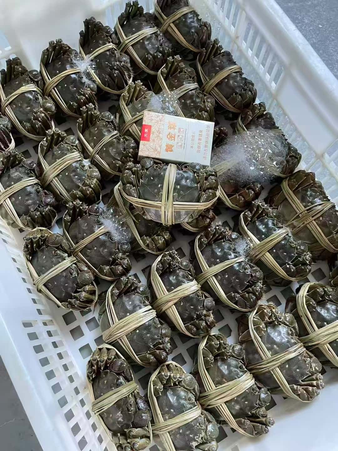 鲜草捆扎的鲜活大闸蟹整筐码放