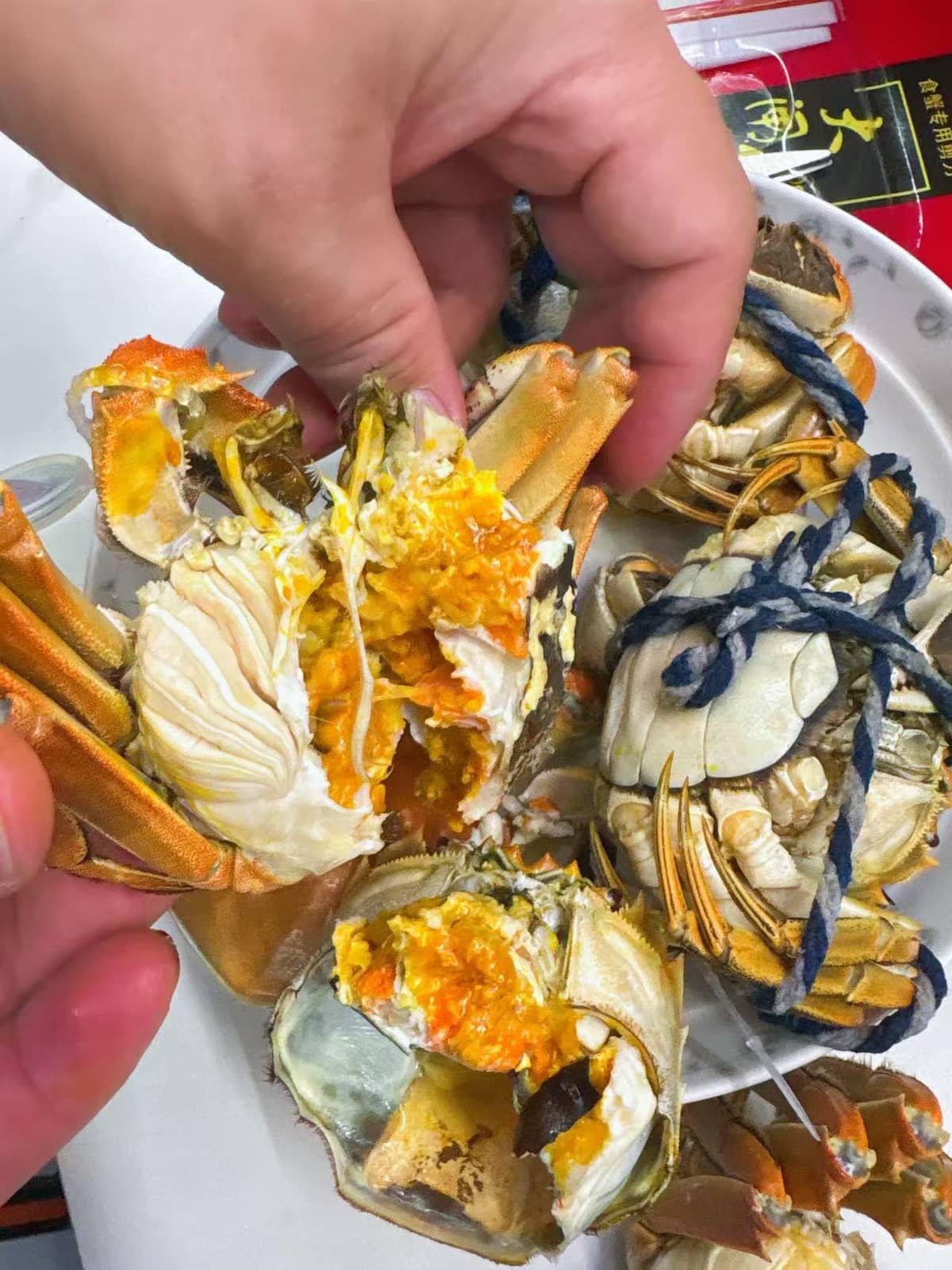熟蟹蟹黄蟹膏特写