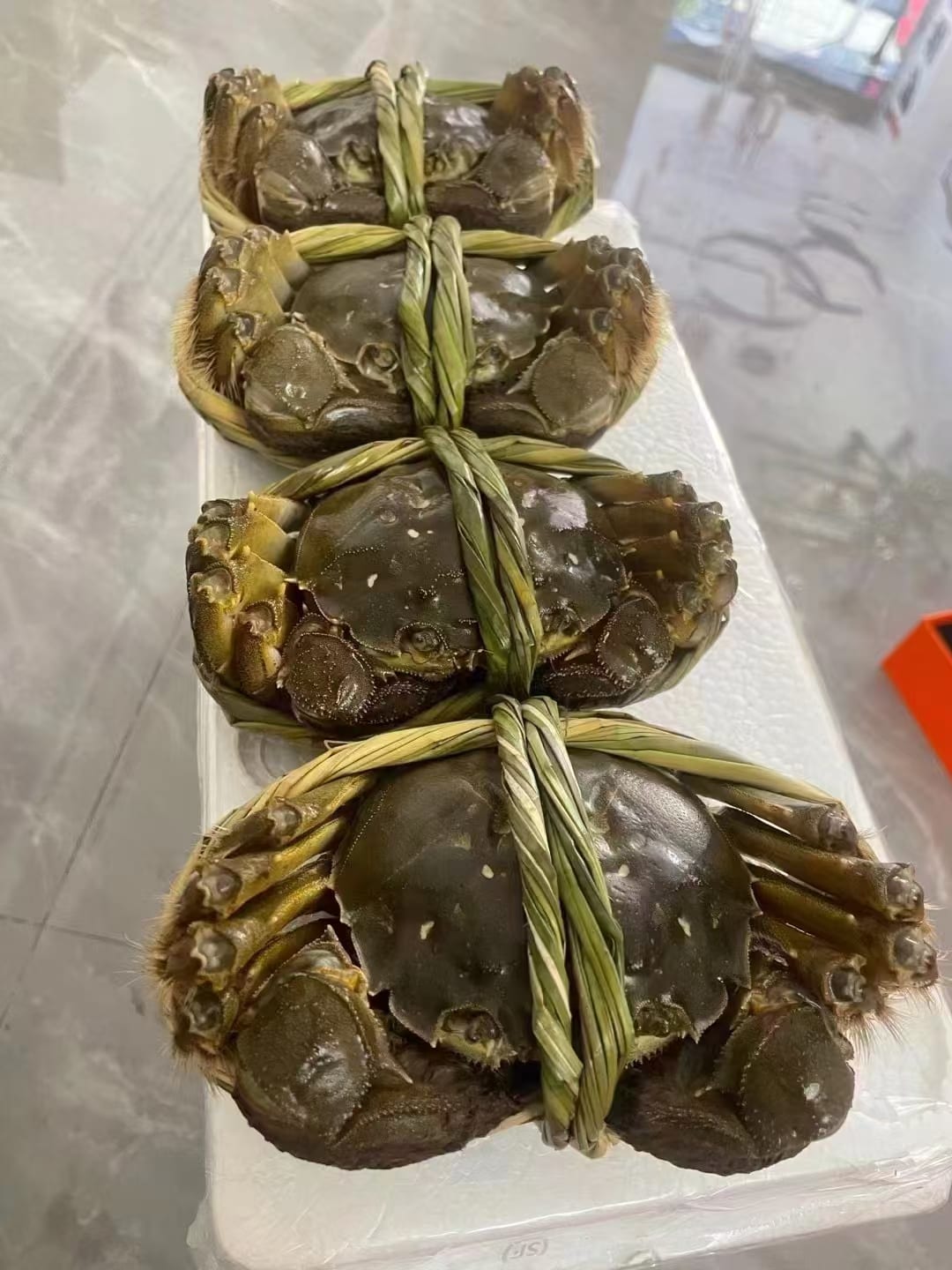 四只捆扎大闸蟹特写